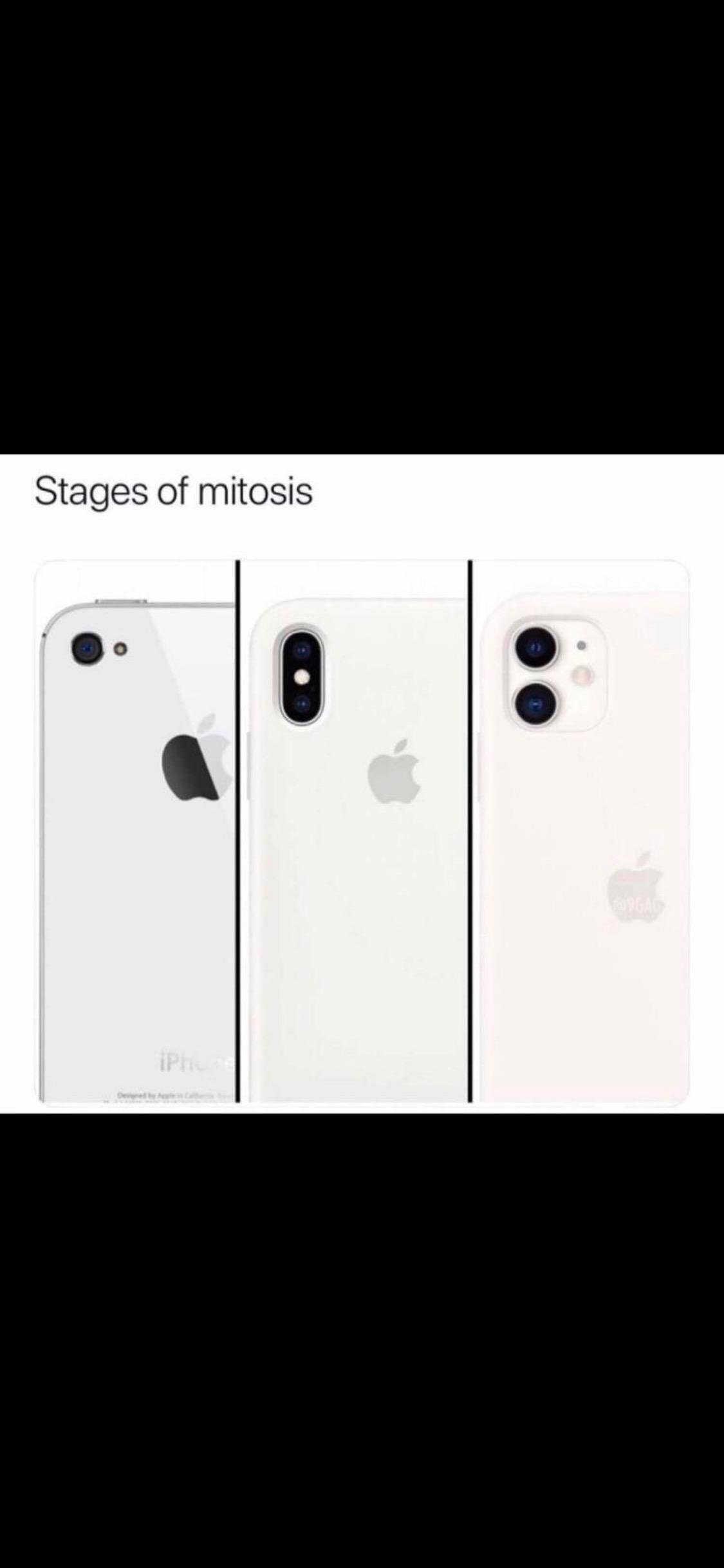 Stages Of Mitosis: iPhone Edition