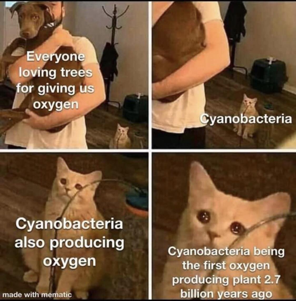 Cyanobacteria: The Forgotten Oxygen Influencers