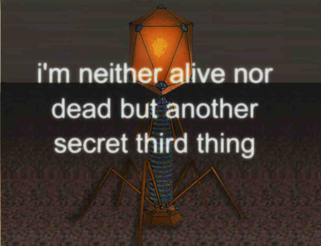The Bacteriophage's Existential Crisis