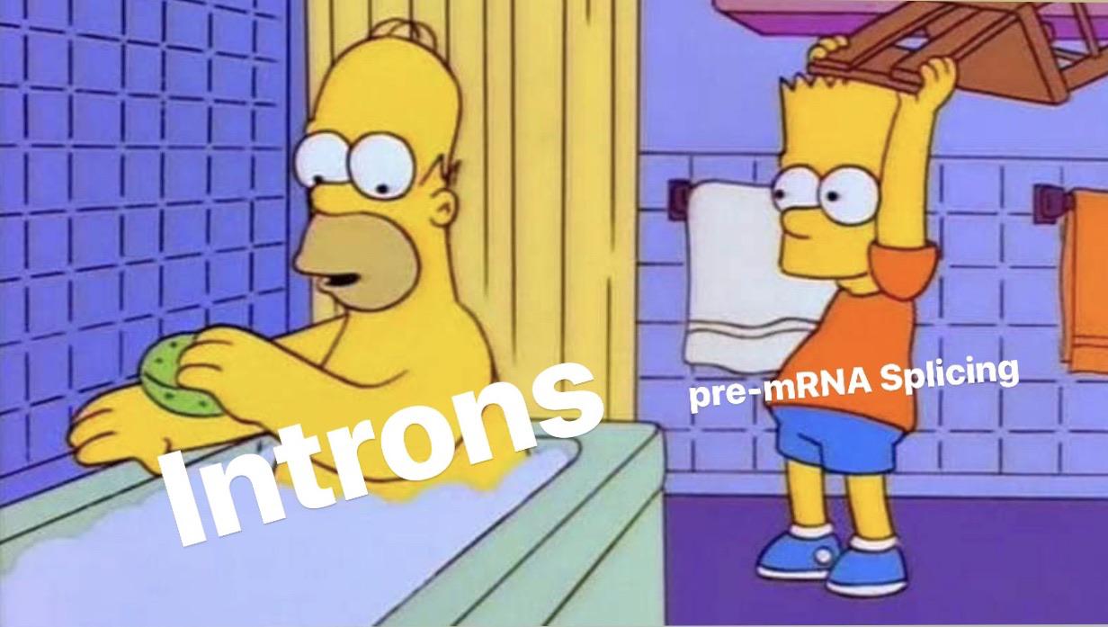 Protein Synthesis Gang
