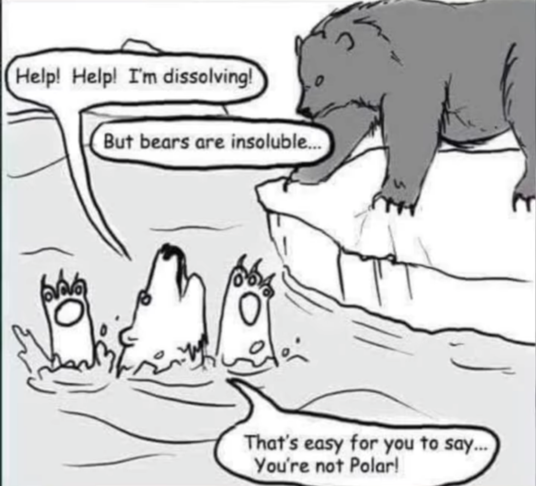 Polar Bears And The Unbearable Chemistry Of Solubility