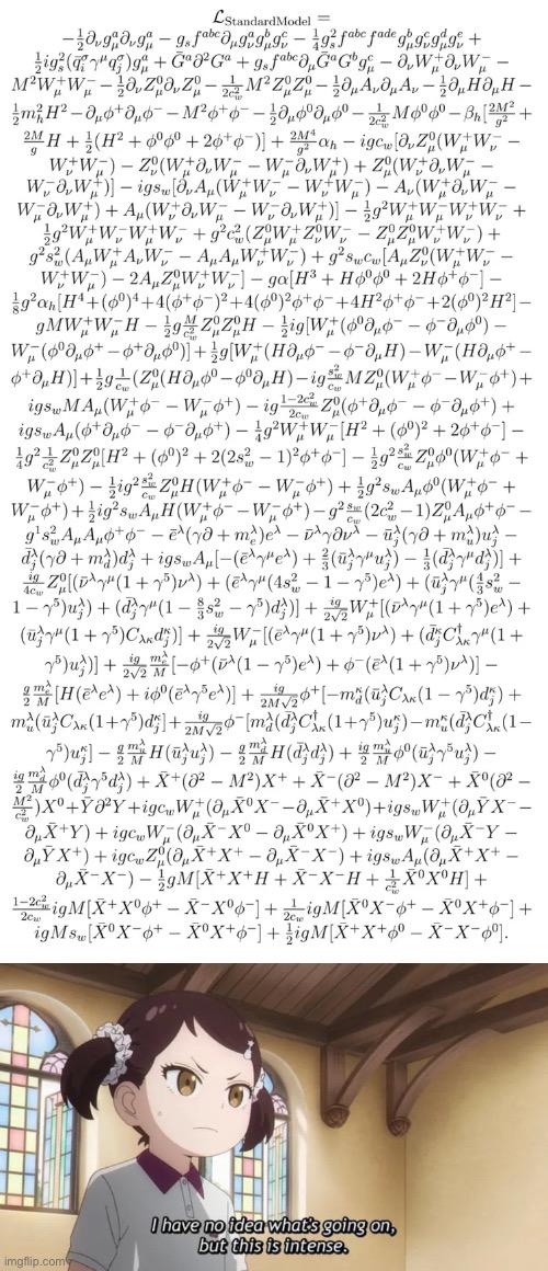 The Standard Model Lagrangian: A Light Bedtime Read