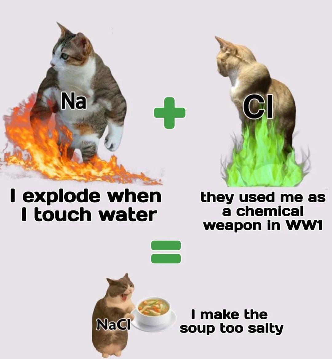 Sodium Plus Chlorine Equals Dinner Disaster