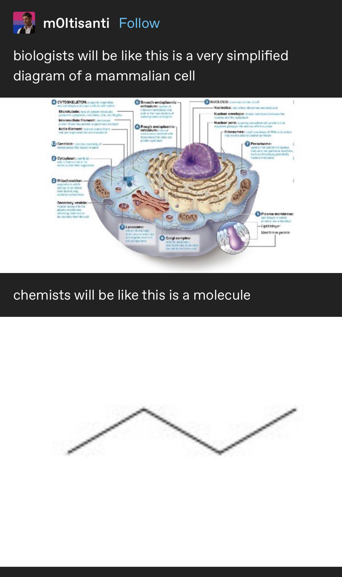 And They're Both Right