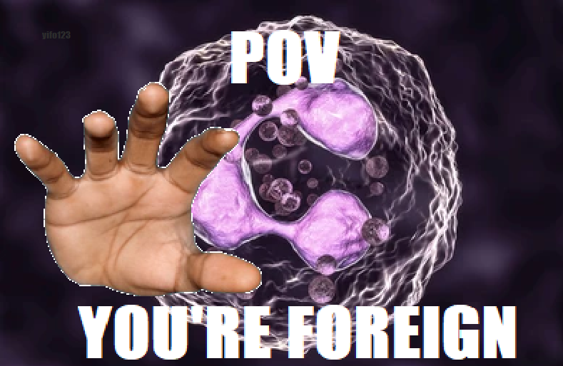 Antigen Check: Immune System Border Patrol