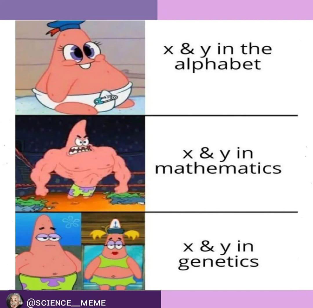 The Shape Of Thought