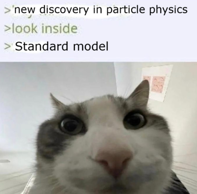 Never Fight The Standard Model