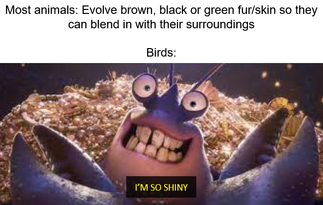Evolution's Flashy Rebellion