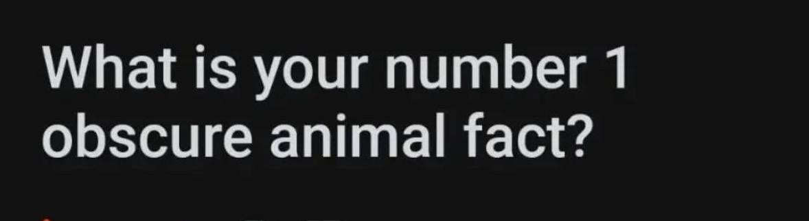 Let Me Hear Them Obscure Animal Facts