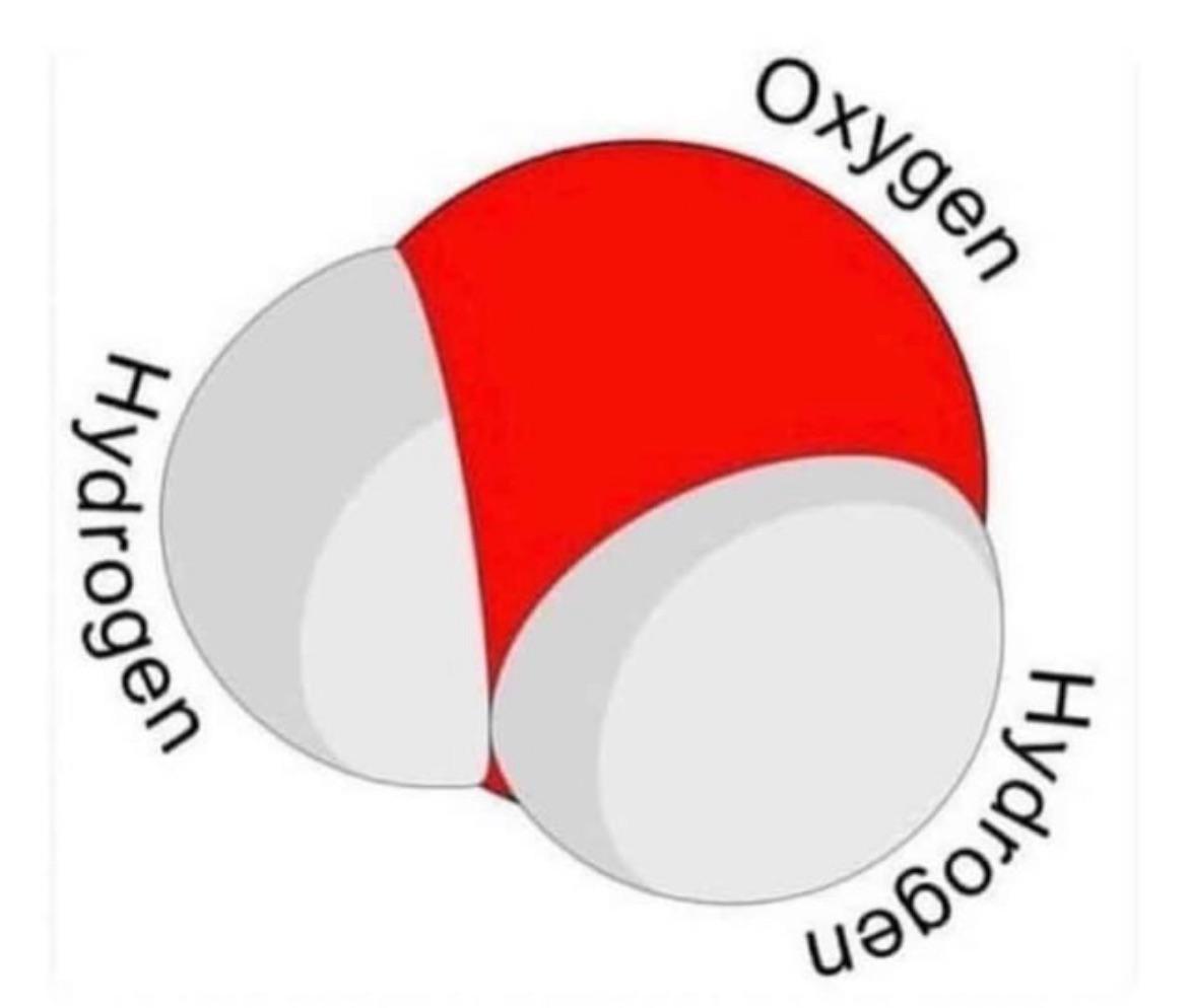 Water Molecule Got Back