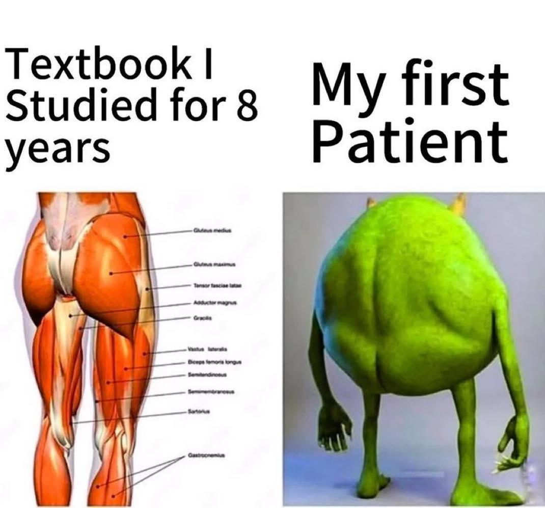 Textbook Vs. Reality: Medical School Edition