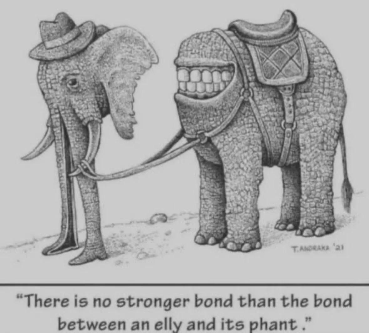 The Elefent Bond