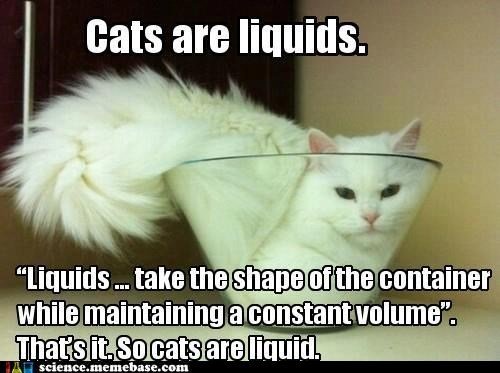 Cats Are Liquid: The Purr-fect State Of Matter