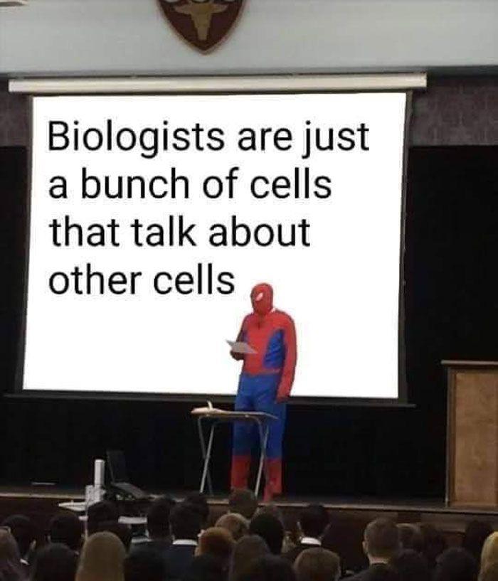 We Are All Just Gossiping Cells