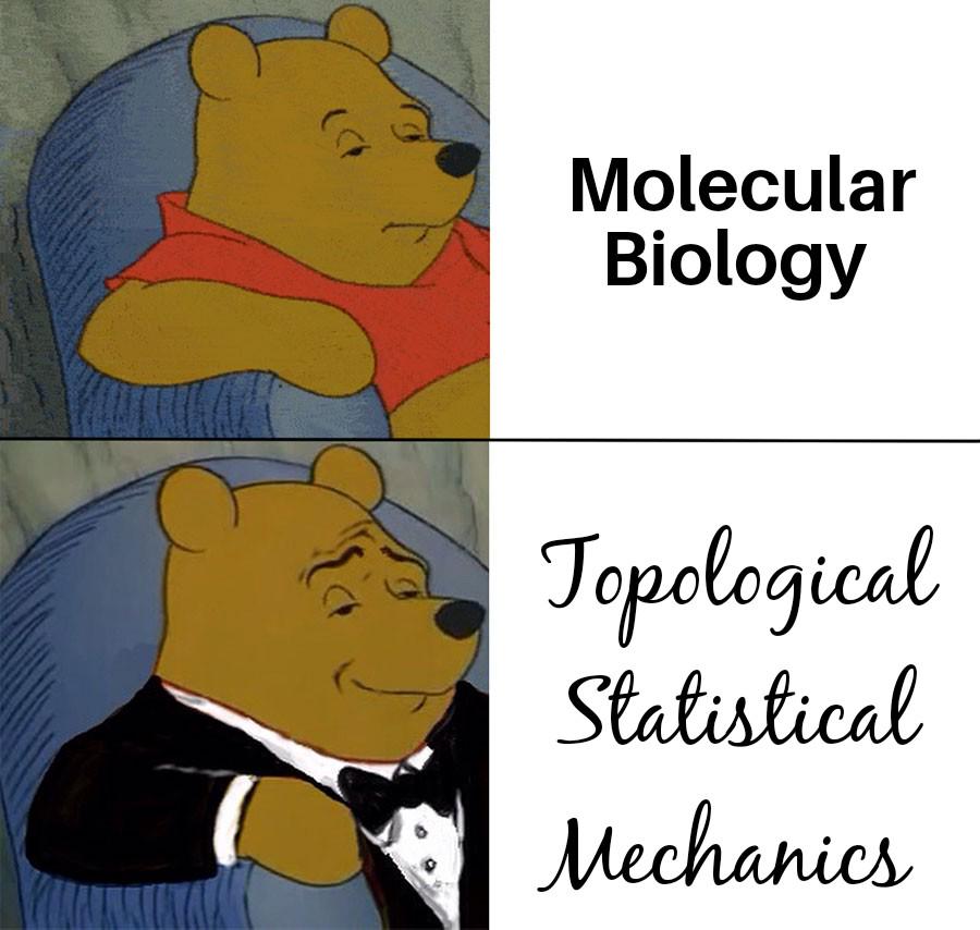 Physics All The Way Down