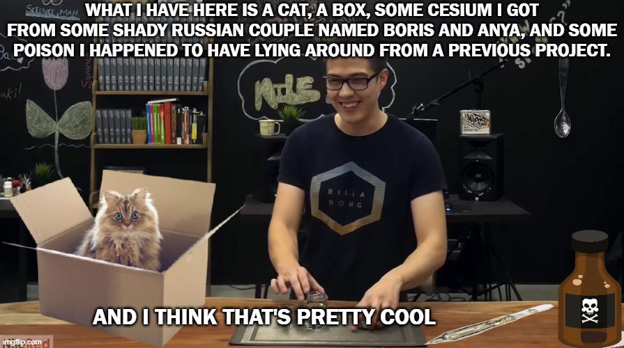 Schrödinger's Cat: Gen Z Edition
