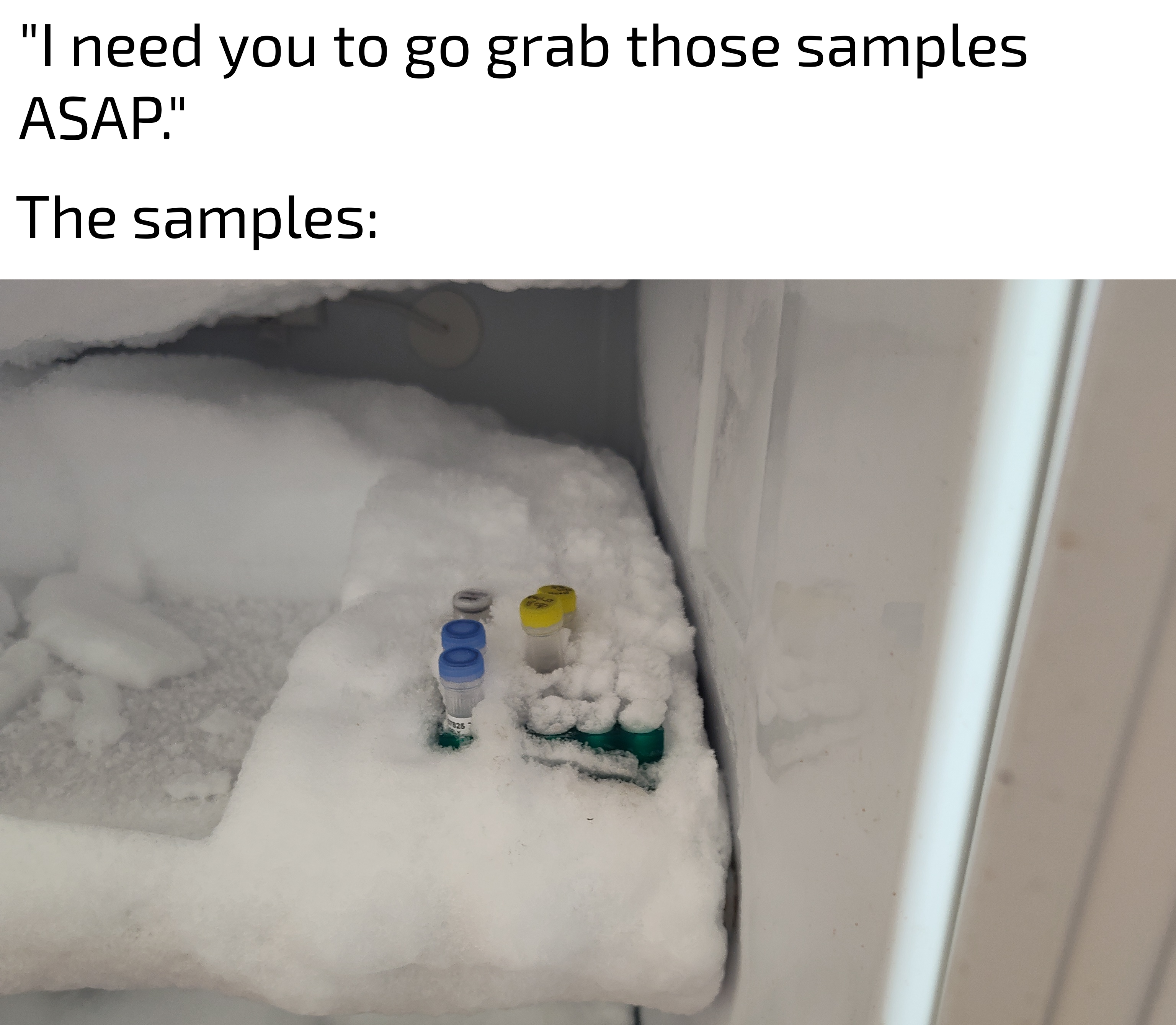 Every. Single. Time.