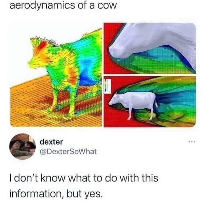We've Peaked As A Society: The Aerodynamics Of Cow