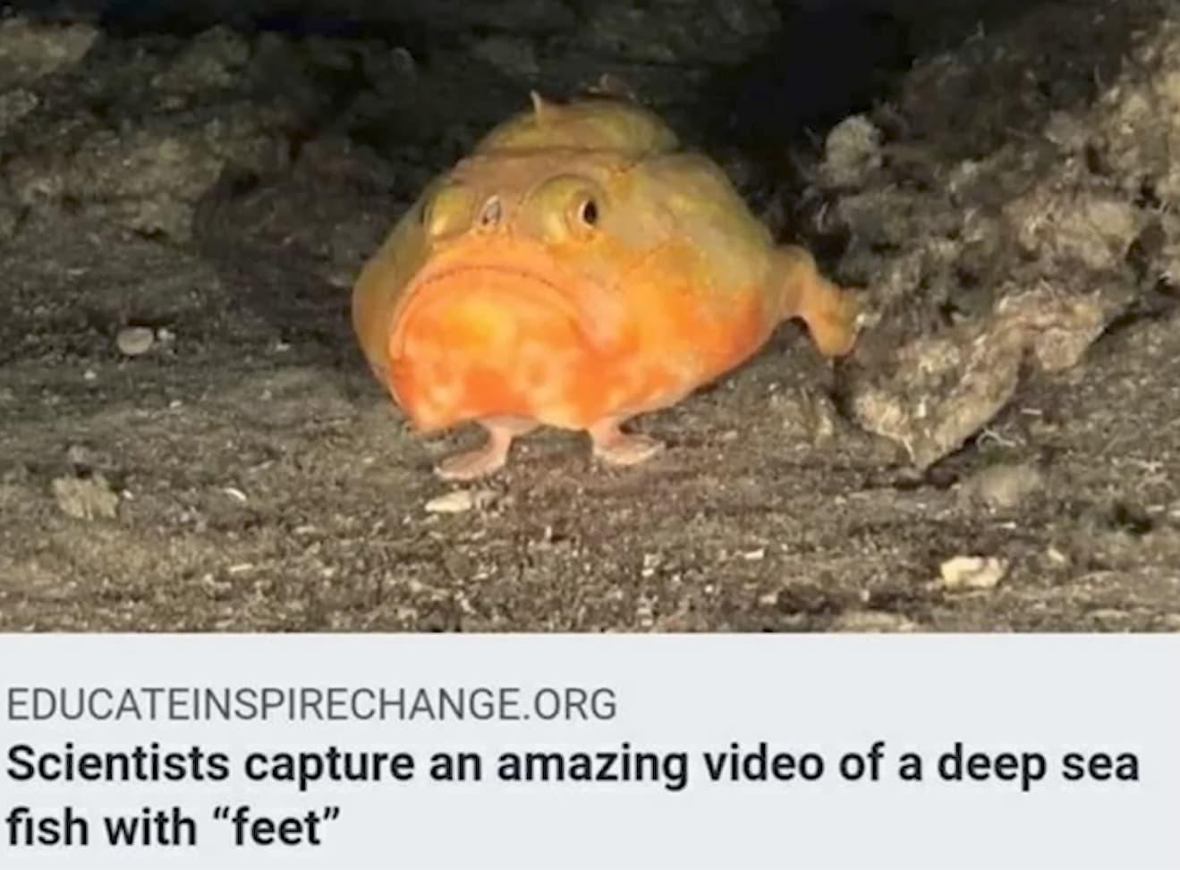 Reporter Is Surely Not A Scientist