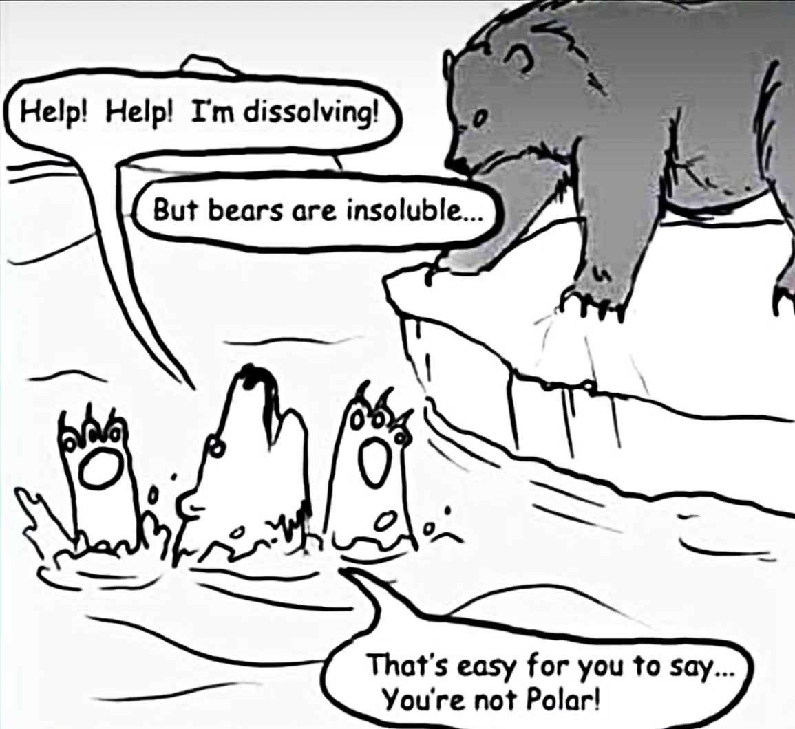 Now I Know Why They Are Named 'Polar Bear'