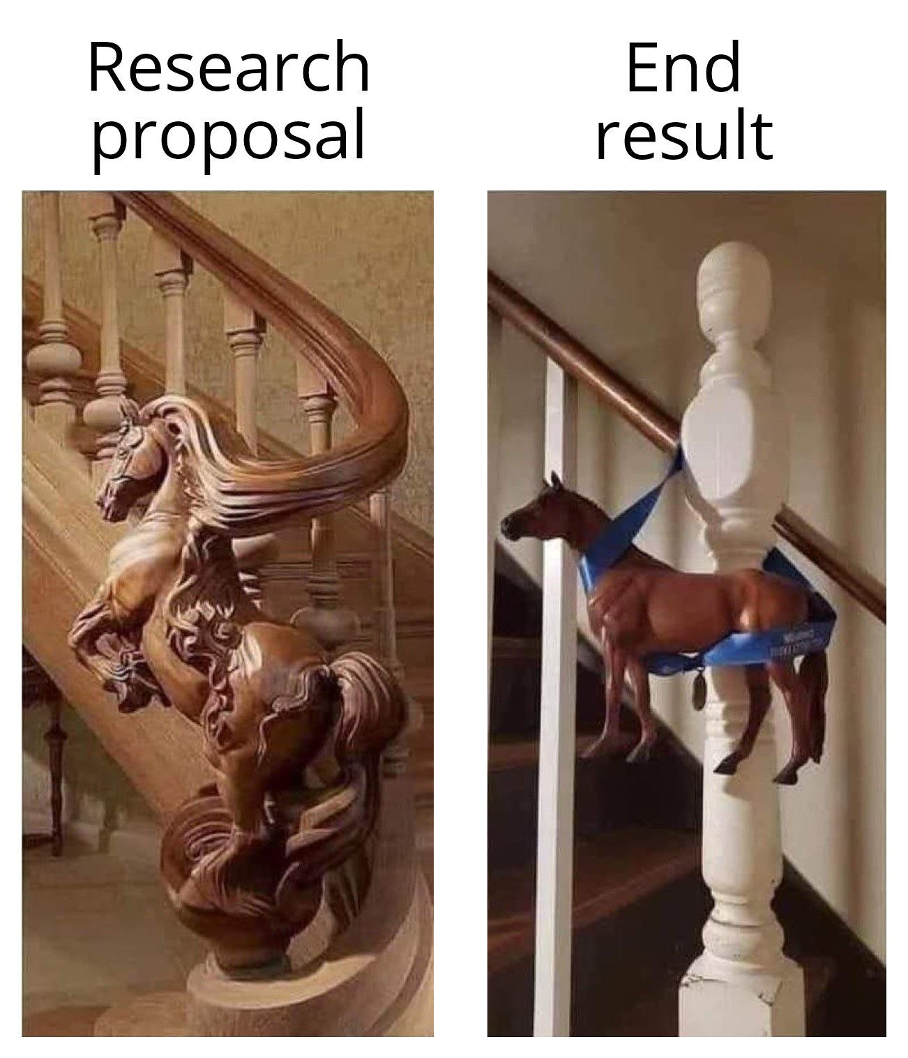 Expectations vs. Reality: The Research Journey
