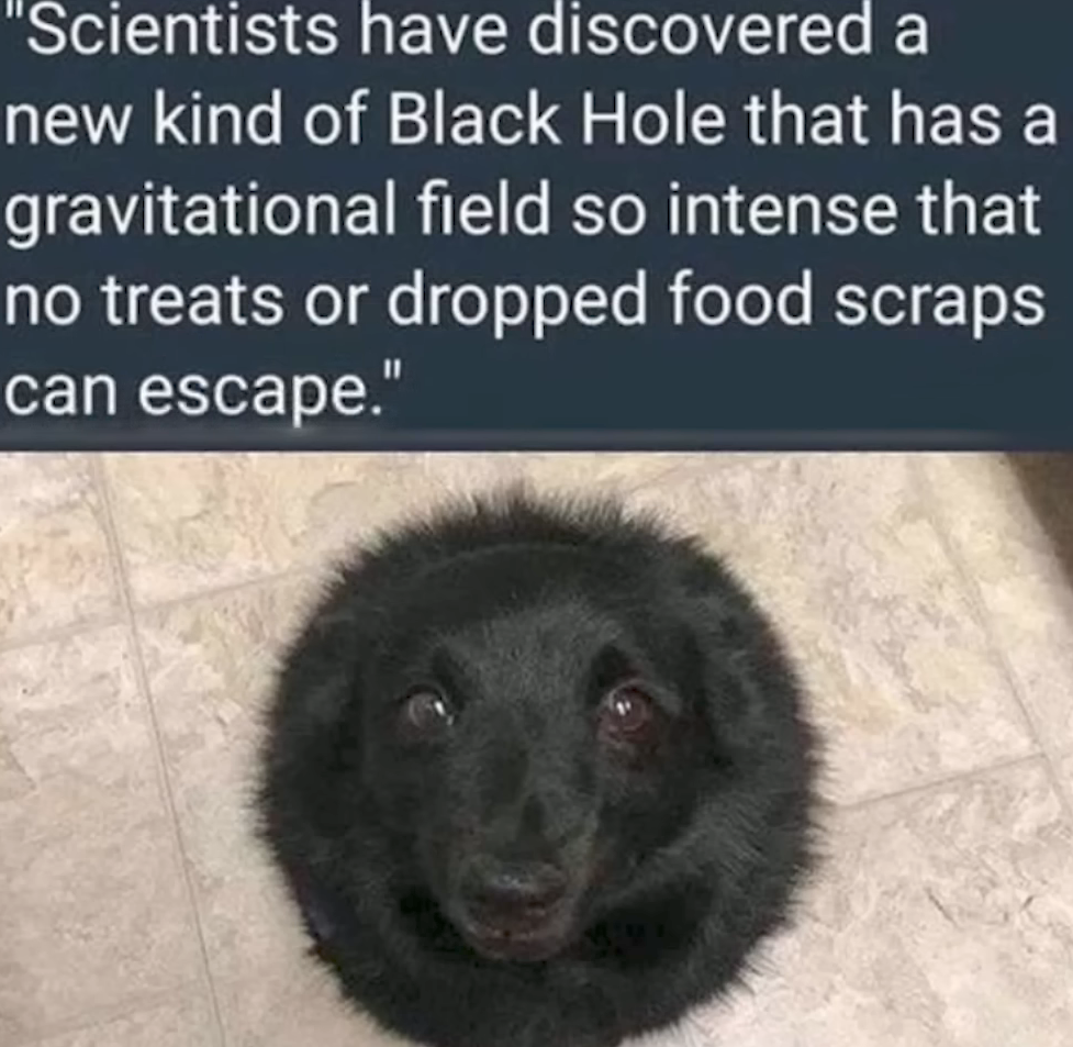 One Of A Kind Discovery