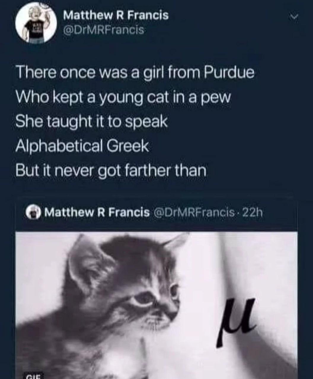 Frictional Feline: When Physics Meets Poetry