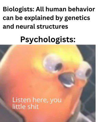 The Great Nature Vs. Nurture Smackdown