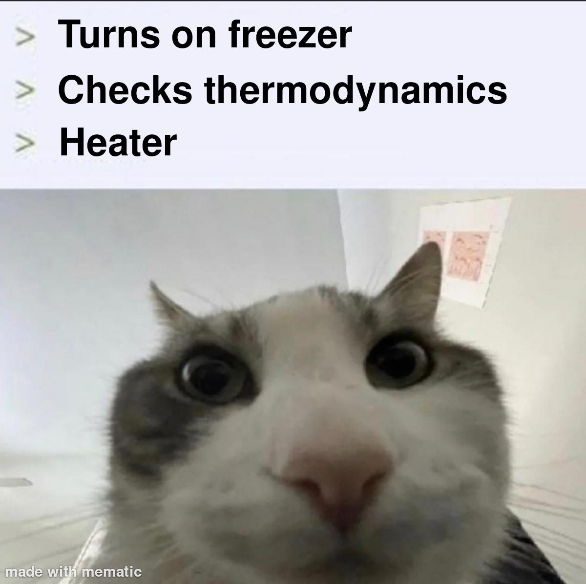 I Want My Thermodynamics Back