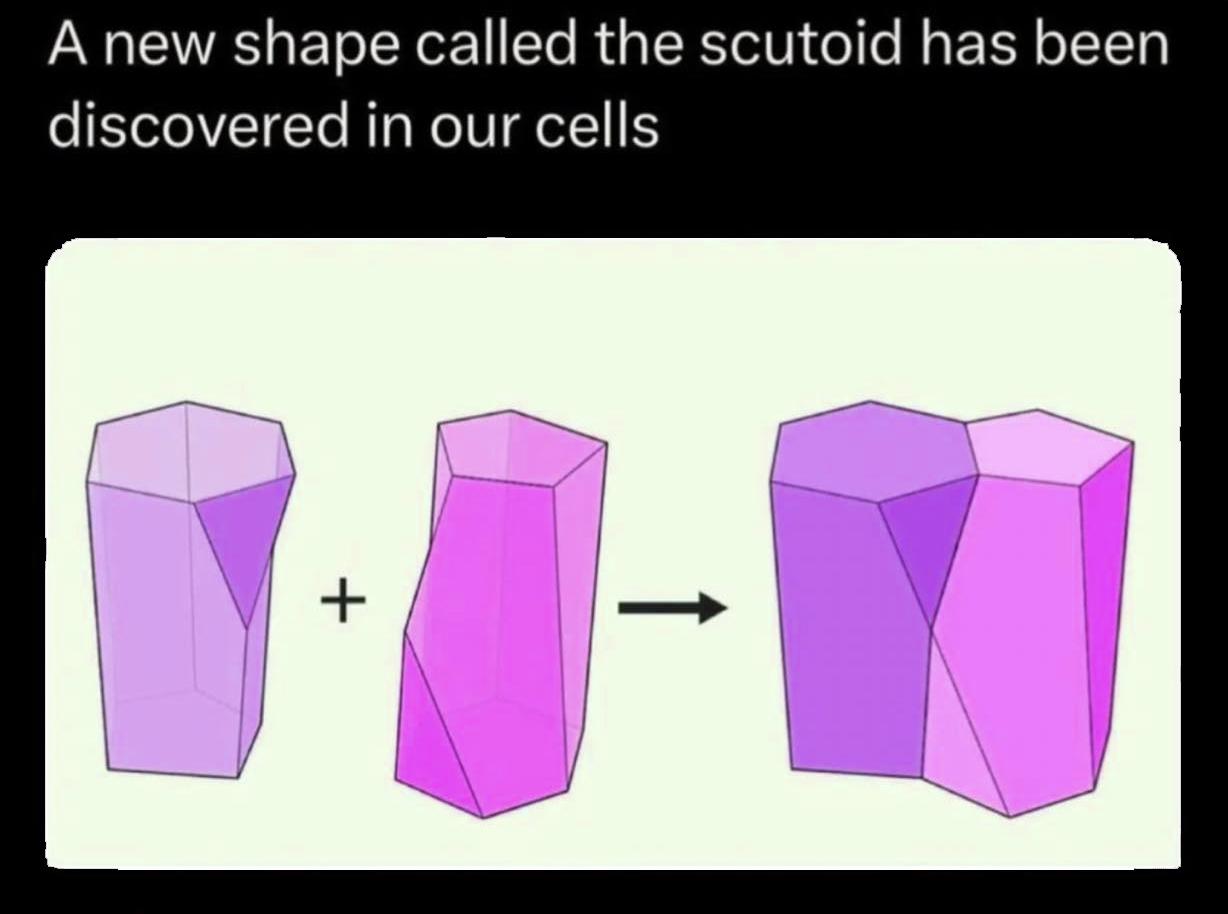 New Shape Just Dropped