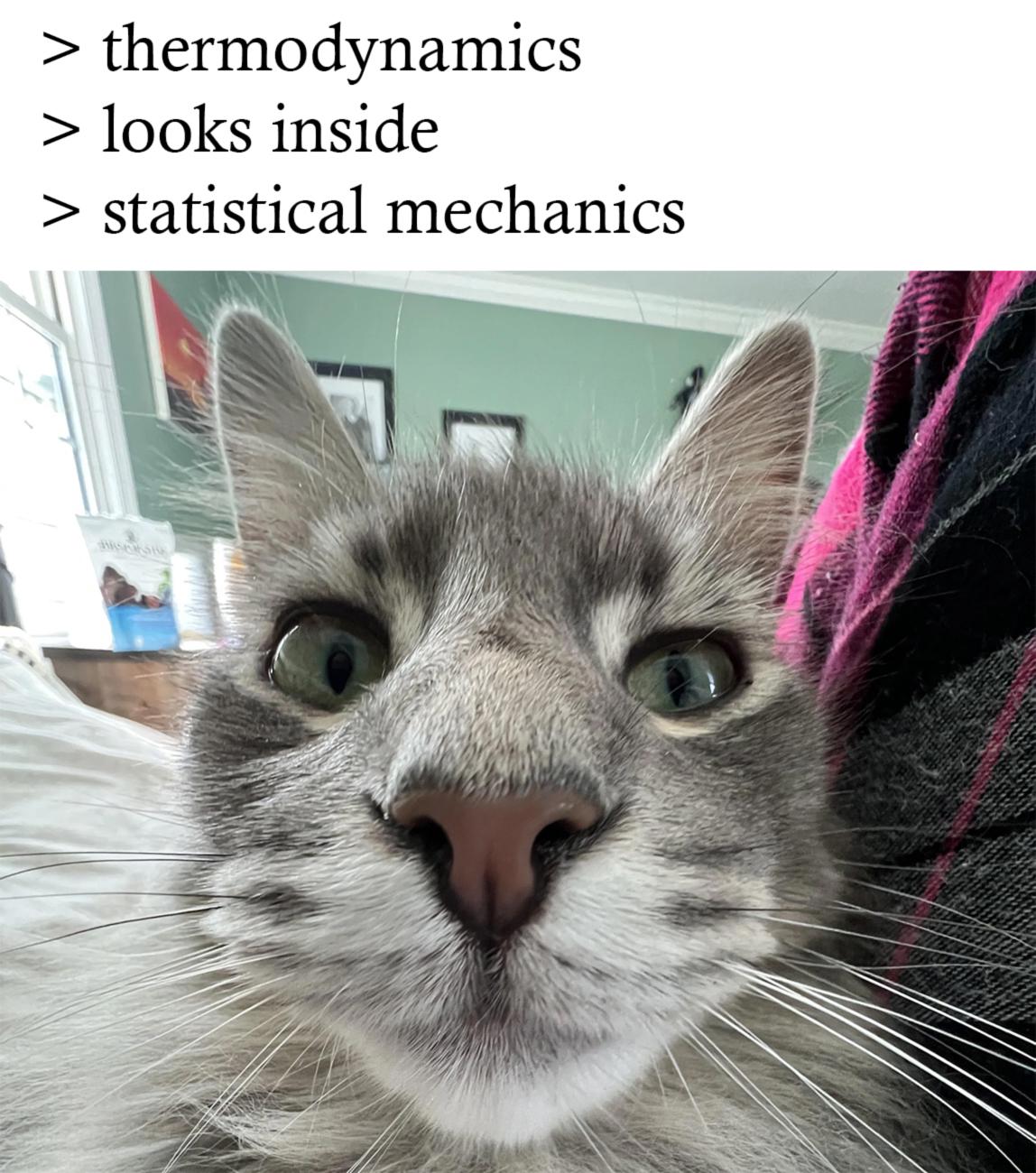 The Shocking Truth Behind Thermodynamics