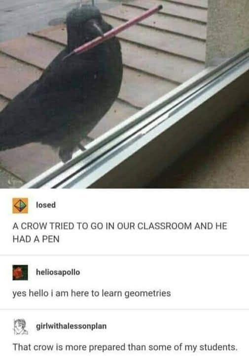 Smartest Student In Class