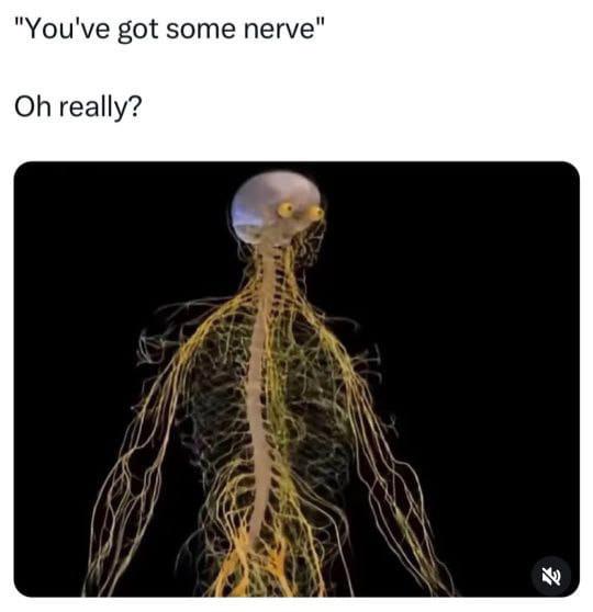 Nerve? I've Got A Whole Network!