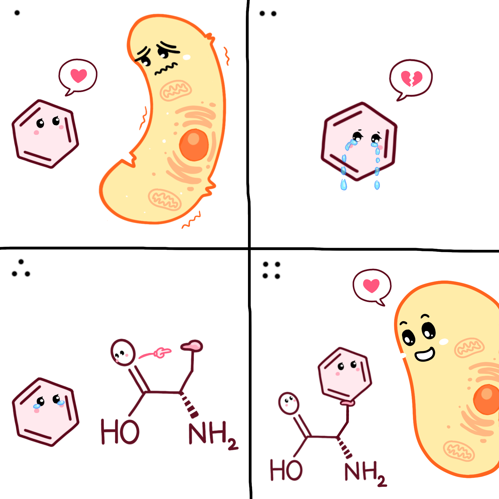 Benzene And Cell