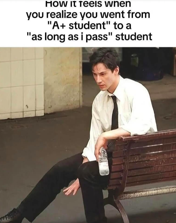 The Great Academic Descent