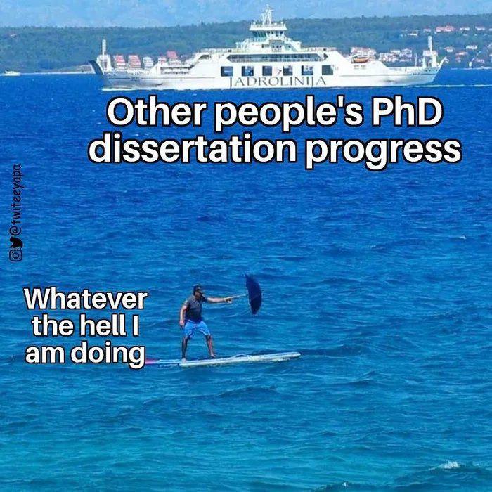 Sailing Vs. Drowning: The PhD Experience