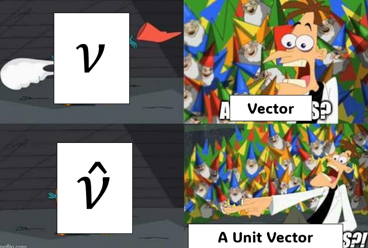 I Was Inspired By The Unit Vector