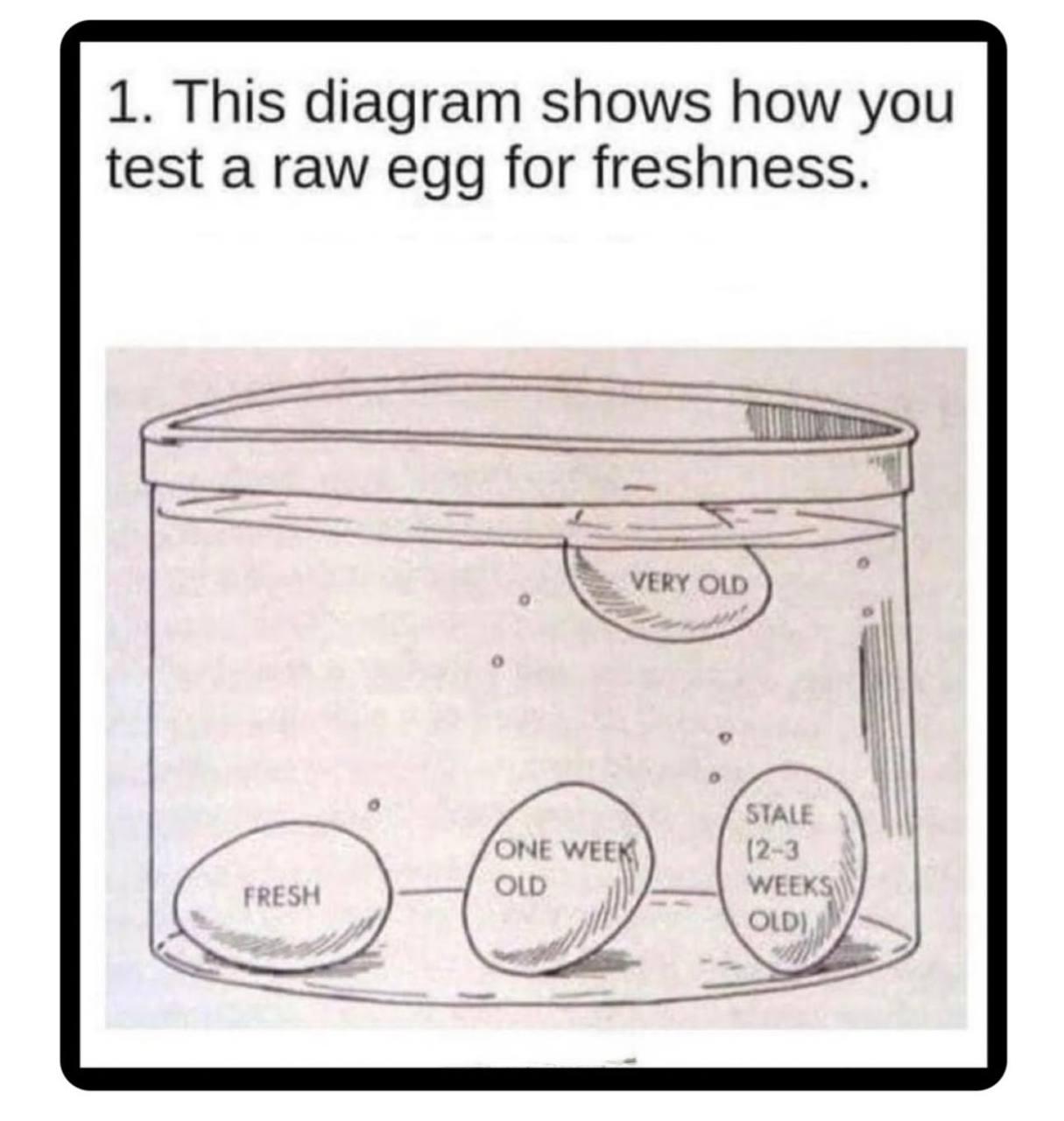 The Egg-cellent Freshness Test