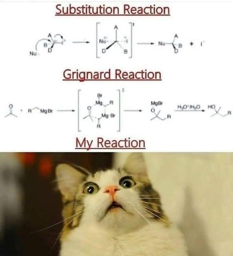 Chemistry Class Got Me Like
