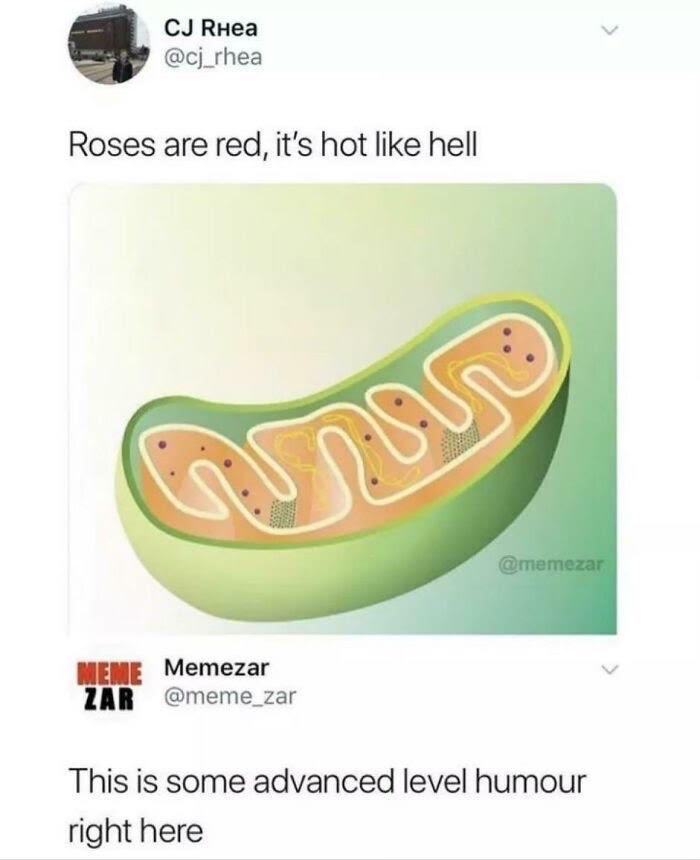 Mitochondrial Rhyme Time