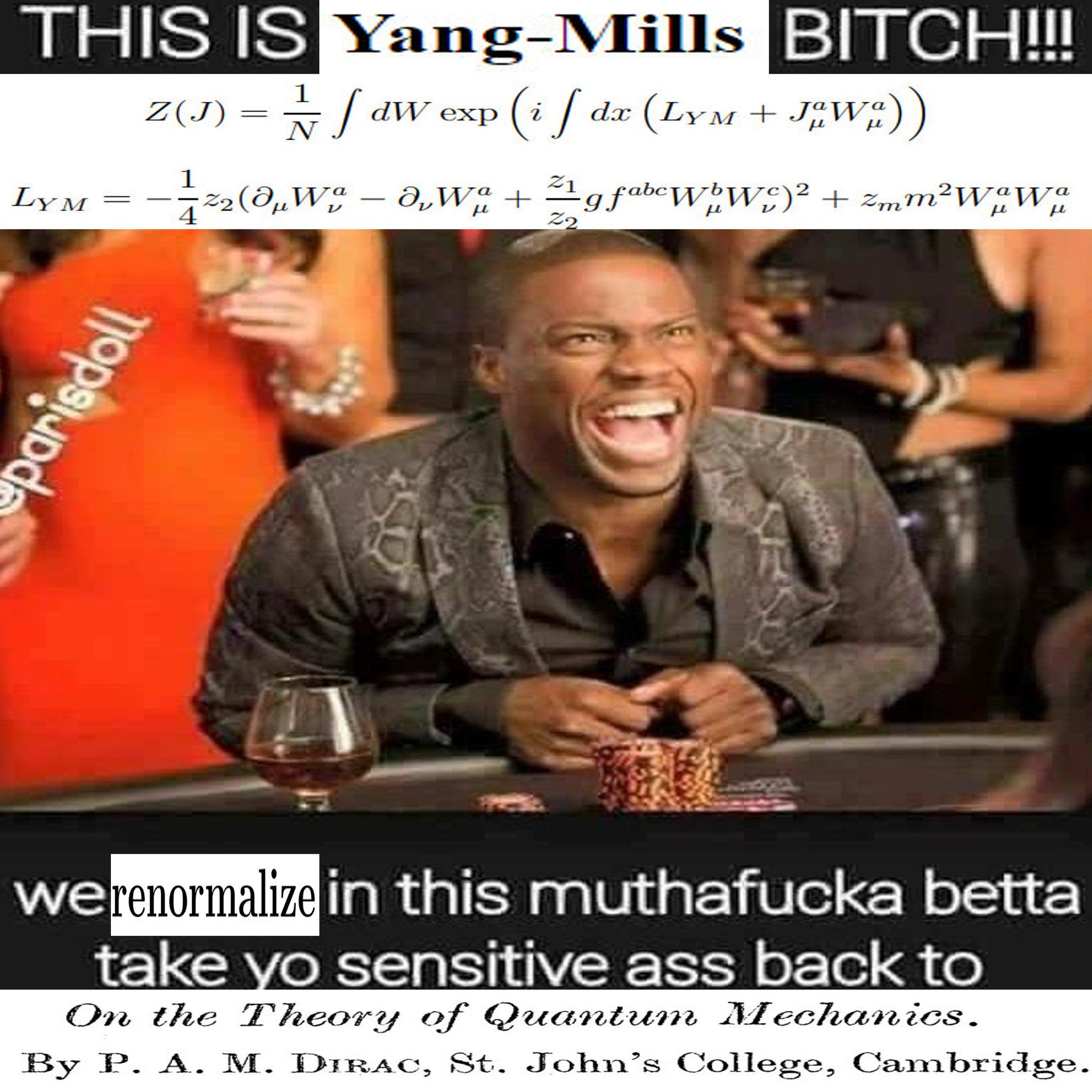 Yang-Mills Theory: The Ultimate Theoretical Flex