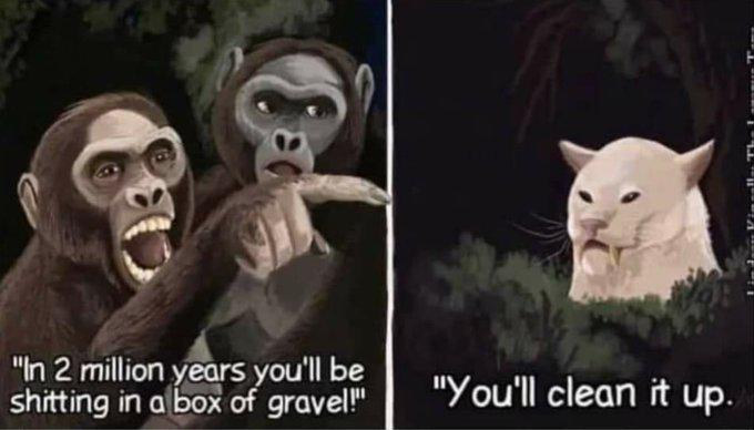 Evolutionary Trash Talk