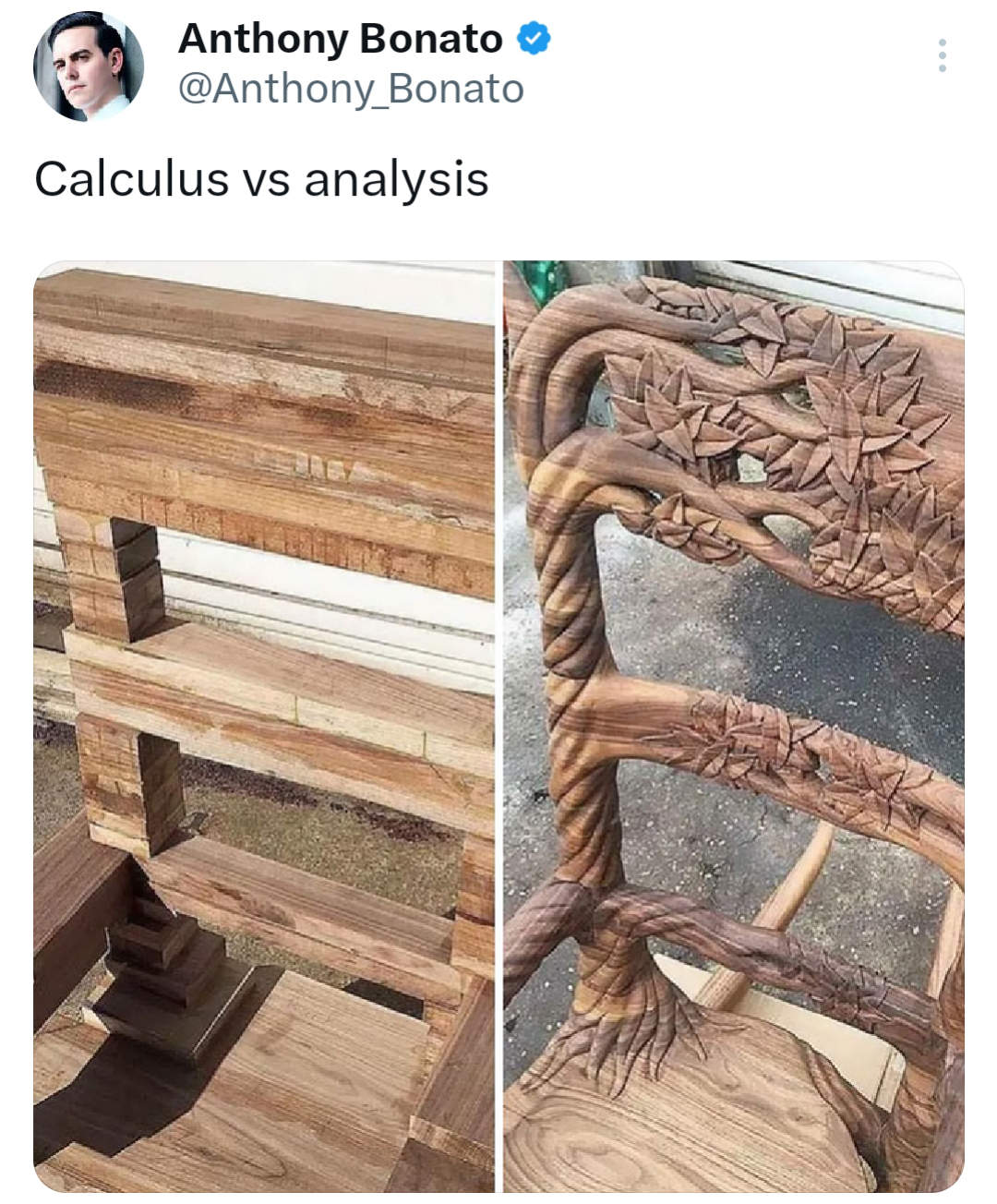 Carpenter Of Calculus Vs Sculptor Of Analysis