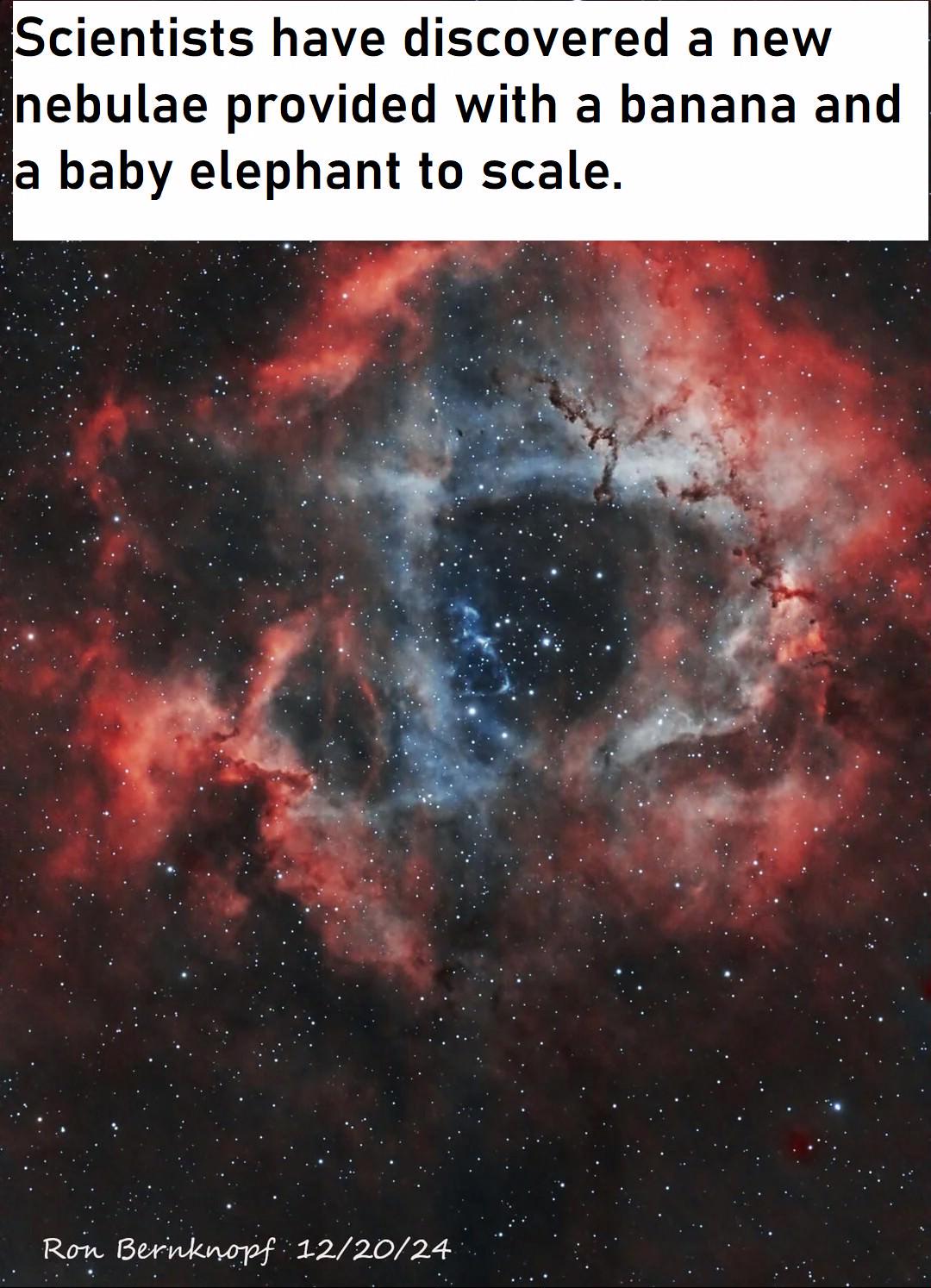 Nothing Except Freedom Scales