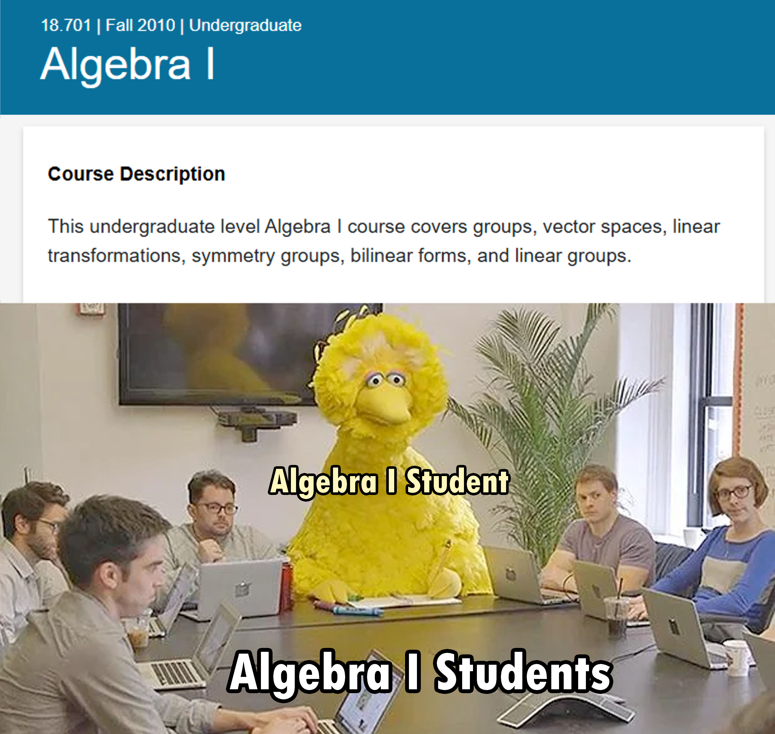 Big Bird Takes The Wrong Algebra Class