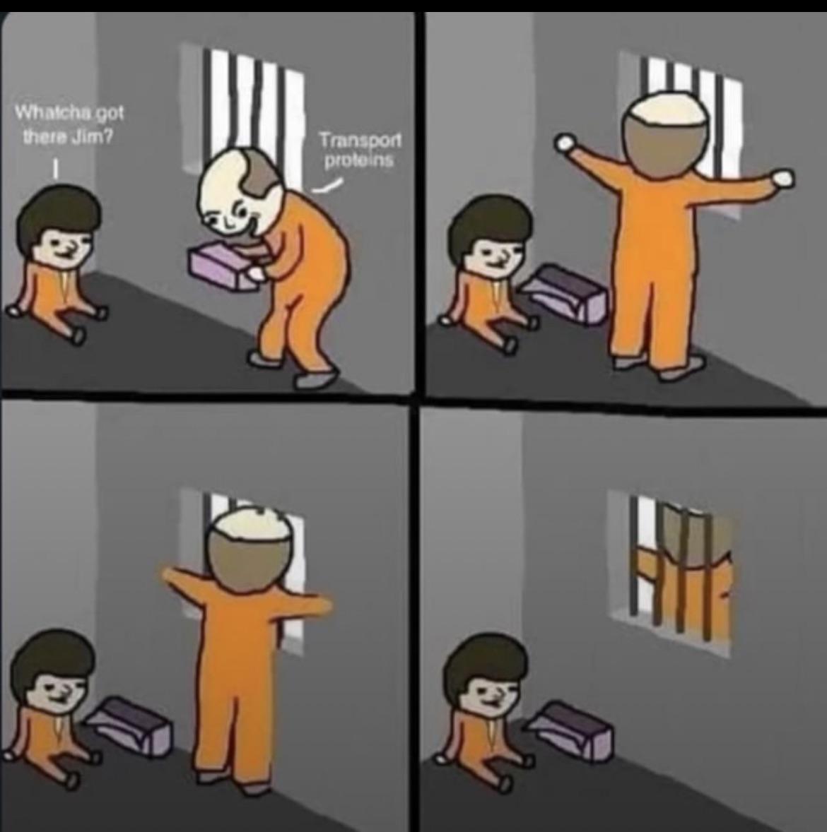 Transport Proteins: The Cellular Jailbreakers