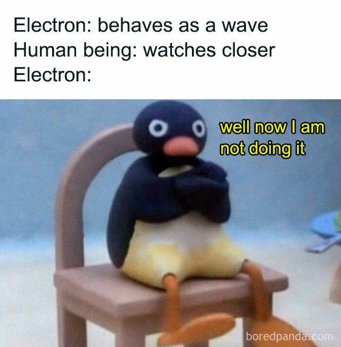 Well Now They Misbehave