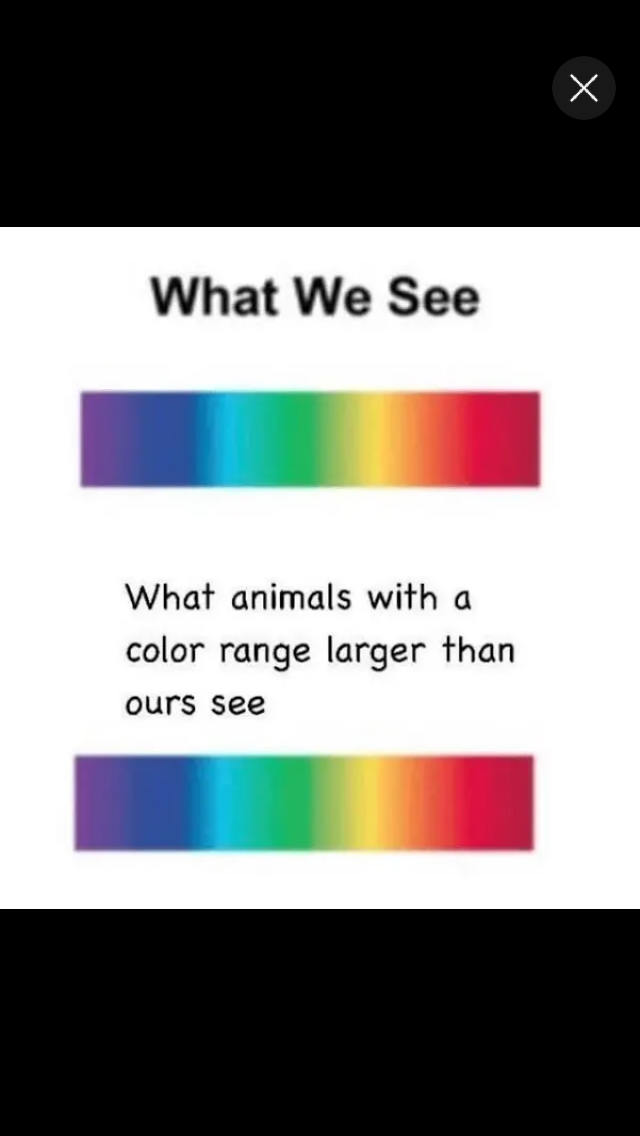 We Will Never Know The Color Of Their Sky