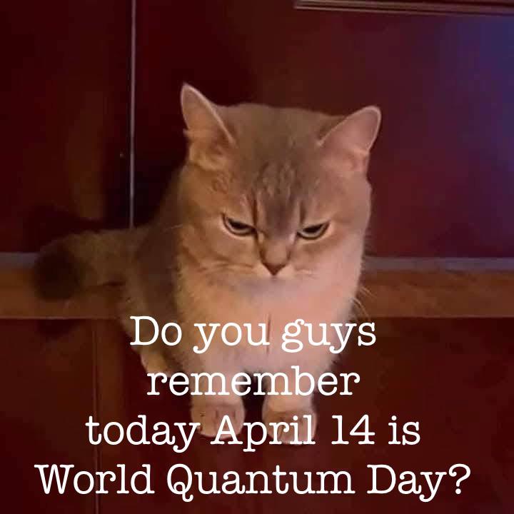 Schrödinger's Holiday