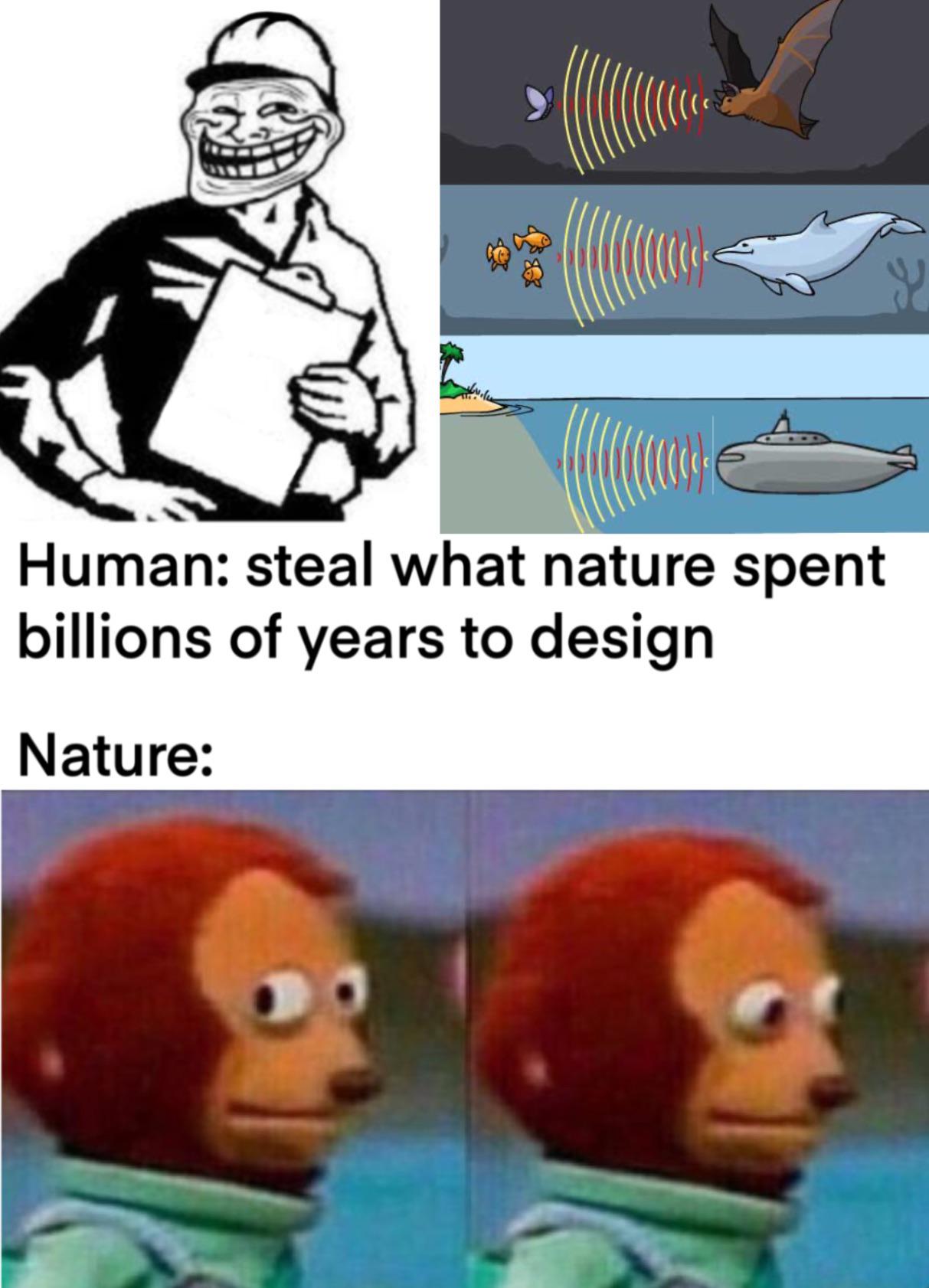 Nature's Intellectual Property Theft
